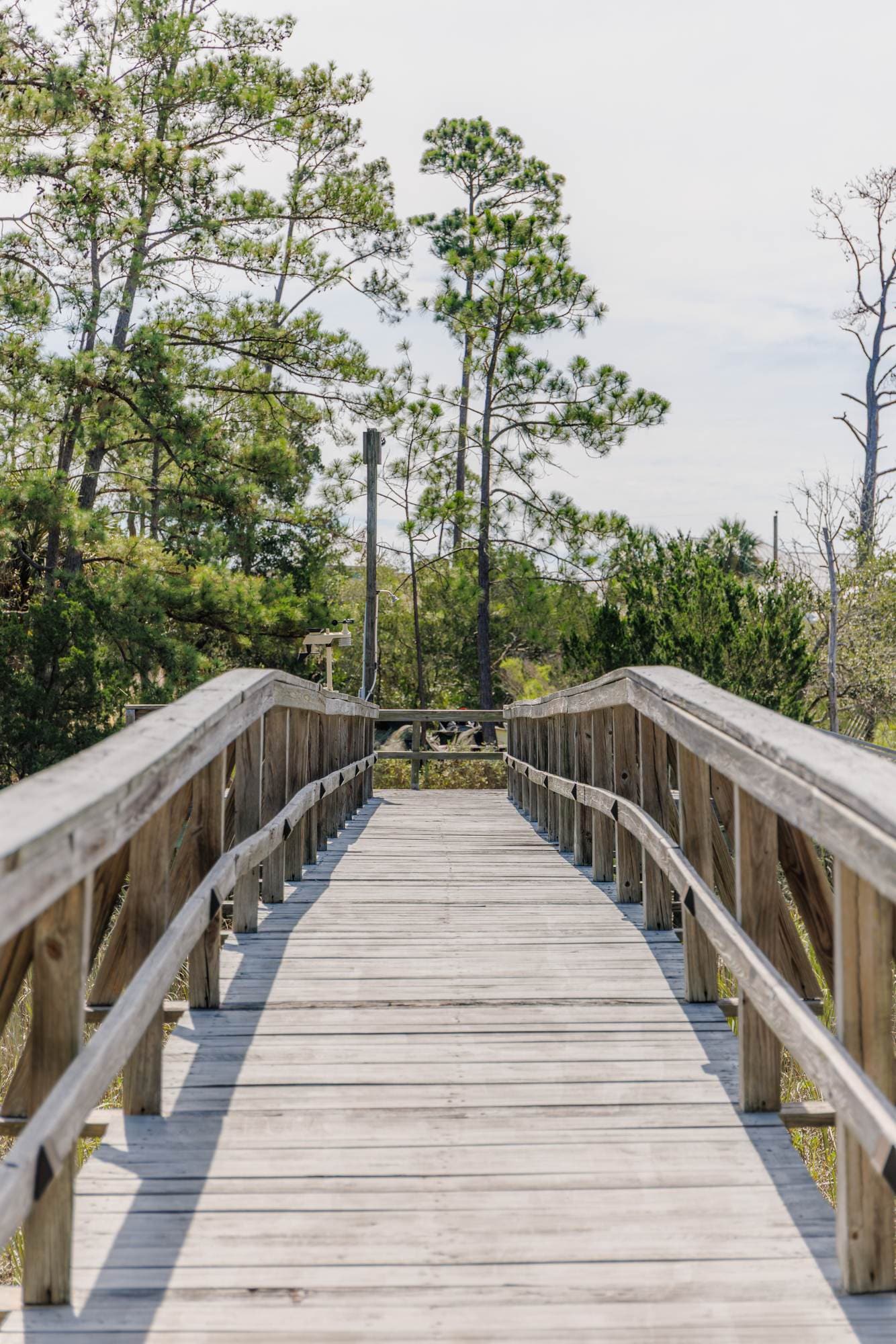 Wooden boardwalk leading across the marsh toward the dock